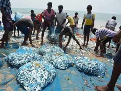 Centre to invest Rs 50k crore in fisheries sector in next 5 years, reduce post-harvest loss from 20% to 10%
