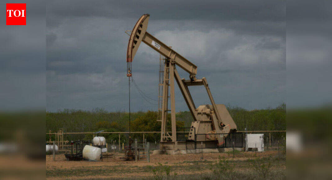 Oil seen at $20, but fuel prices may not match fall - The Times of India