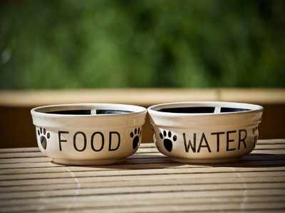 Dog Bowls: Beautiful & useful bowls for food & water