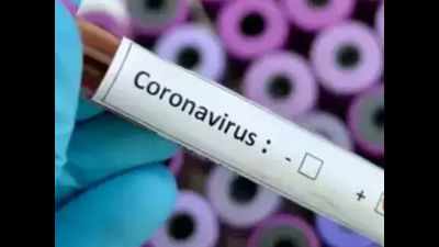 One more tests positive for Covid-19 in Karnataka, total count rises to 27