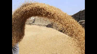 Upcoming wheat procurement a worry for Punjab, Haryana