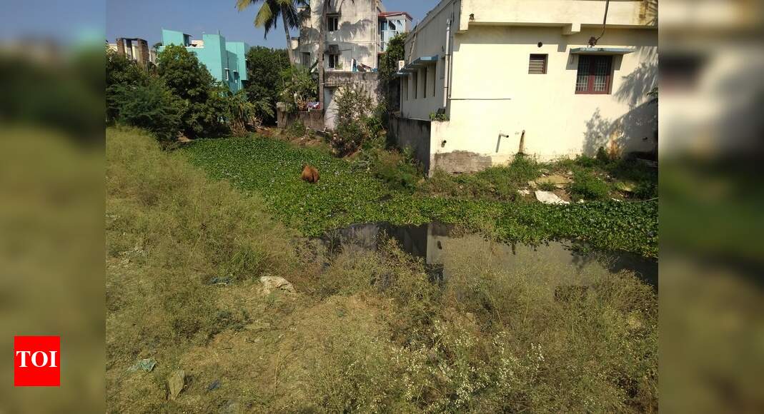Open Sewage Cause Of High Fear Times Of India