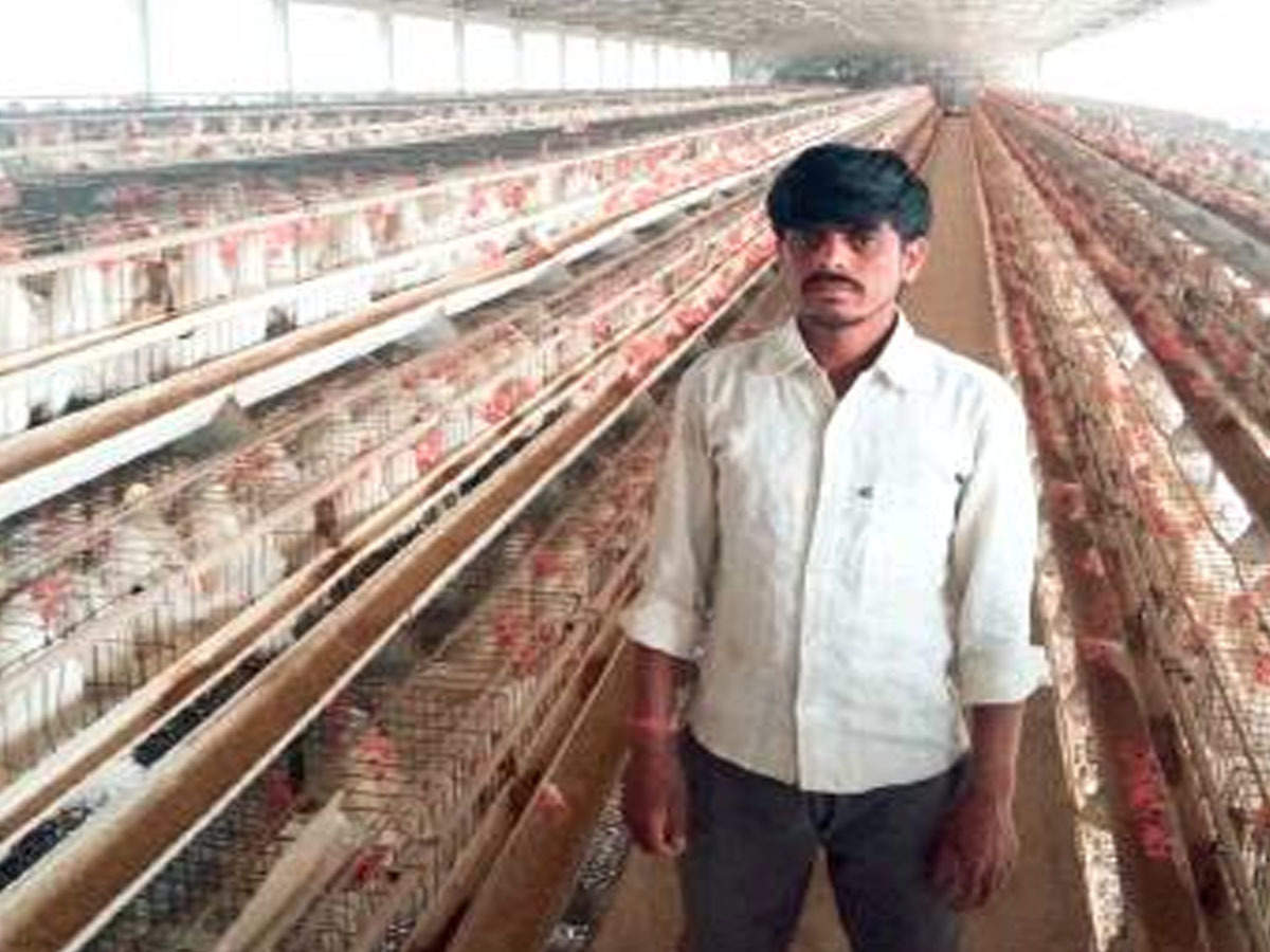 indian poultry farm