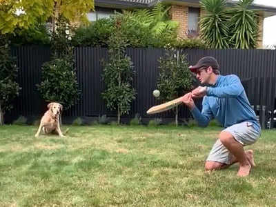 COVID-19: Kane Williamson gives pet dog slip catching practice