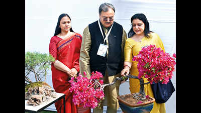 Small was big at this bonsai summit in Lucknow