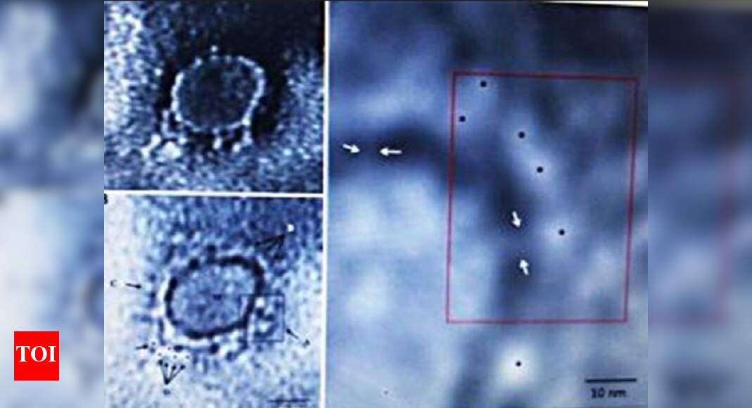 Round with cobbled surface: 1st Corona pics