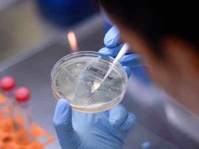 Oxford university begins enrolling over 500 volunteers for coronavirus vaccine trial