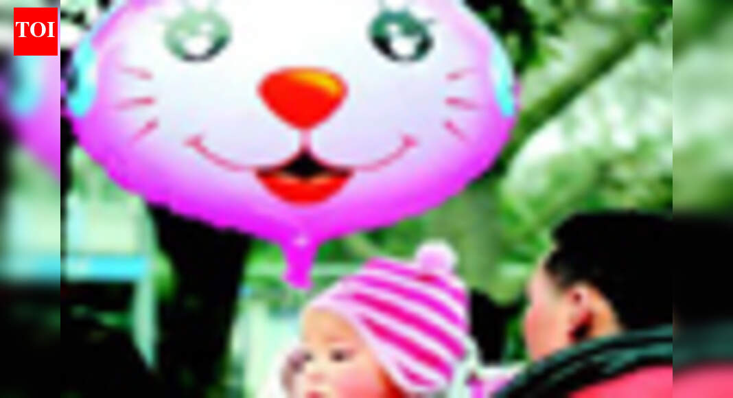 'This is the Year of the Golden Rabbit' - The Times of India