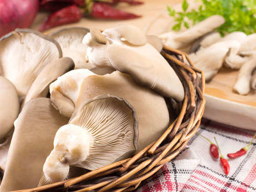 Varieties Of Mushrooms In India 8 Types Of Mushrooms Found In India And Their Health Benefits