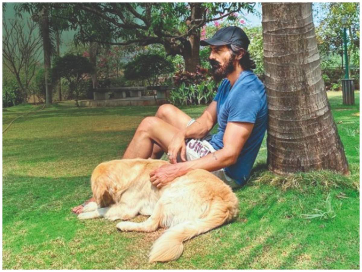 Arjun Rampal I Ve Accidentally Been Self Quarantined In A Town On The Outskirts Of Mumbai Hindi Movie News Times Of India