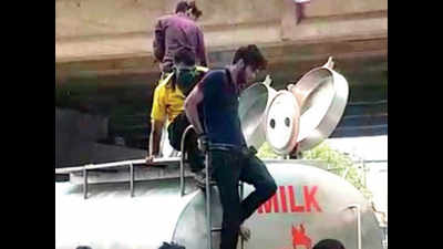 Family of 10 try to get to Rajasthan in milk tanker