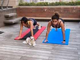 Satyameva Jayate Famed Aisha Sharma S Workout Sessions Will Make You Want To Up Your Fitness Game Entertainment Times Of India Videos