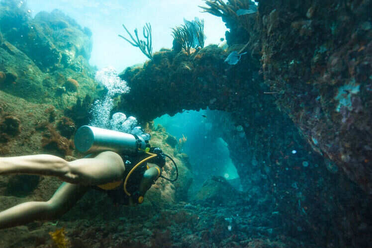 Admiralty Dive Center