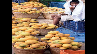 Harvest disruption amid lockdown in Andhra Pradesh