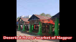 Deserted flower market of Nagpur