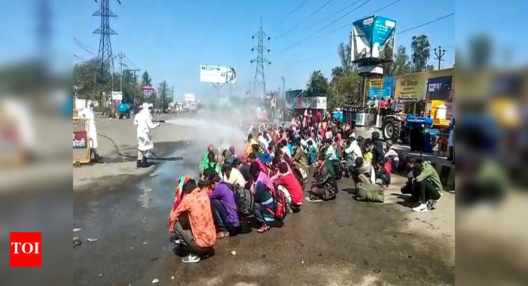 Workers returning to UP &lsquo;sanitised&rsquo; with bleach