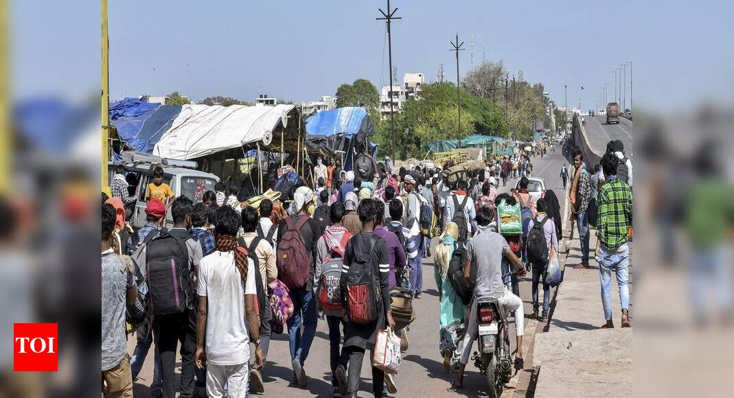 &lsquo;India still in local transmission stage&rsquo;