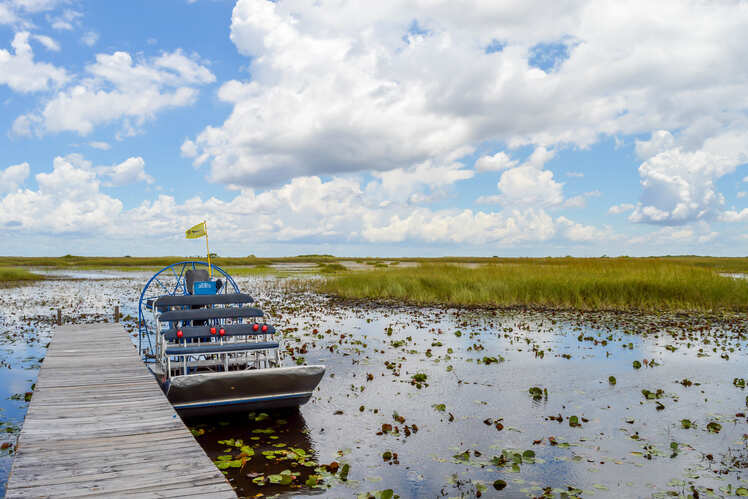 Sea Serpent Tours