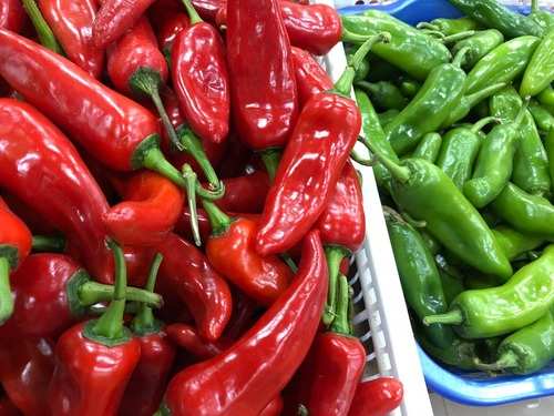 Red chillies VS. Green chillies - Westlandpeppers