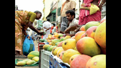 Lucknow: WhatsApp tips to boost mango crop production