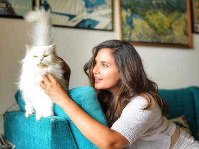 Exclusive! Richa Chadha on quarantine period: Life has become more simple.