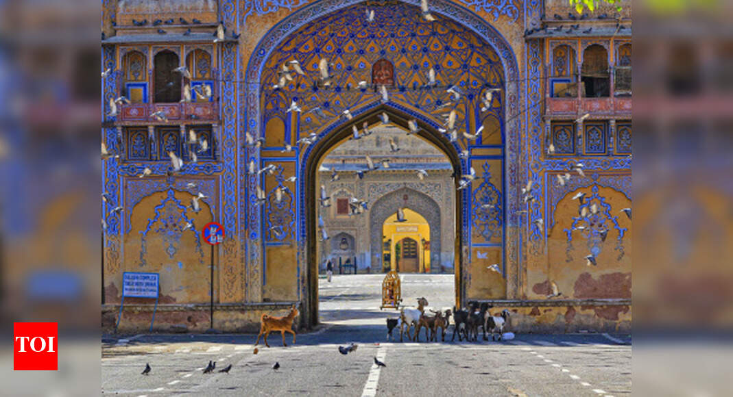 Coronavirus: WHO team to visit Rajasthan's Tonk district | Jaipur News ...