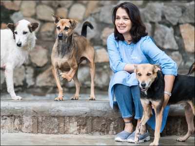 Amala Akkineni: There is no evidence that COVID-19 can be transmitted from pets to humans