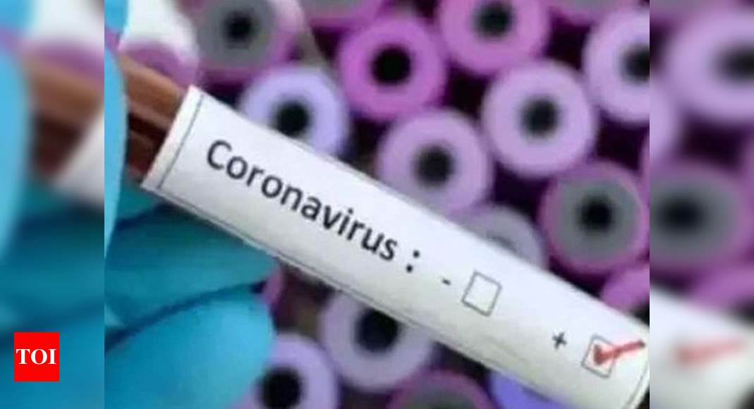 Spike Protein Of Indian Strain Of Novel Coronavirus Undergoes Unique Mutation Pune News Times Of India