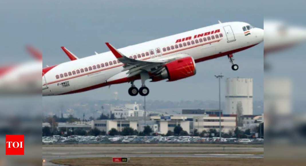 Air India stops bookings till April 30 thumbnail