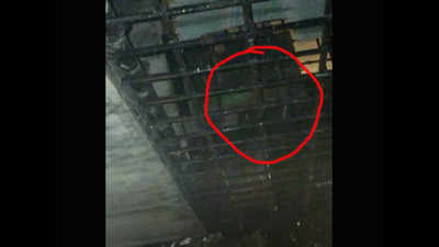 Mumbai: Caged parrot left behind in sealed house after resident tests Covid-19 positive