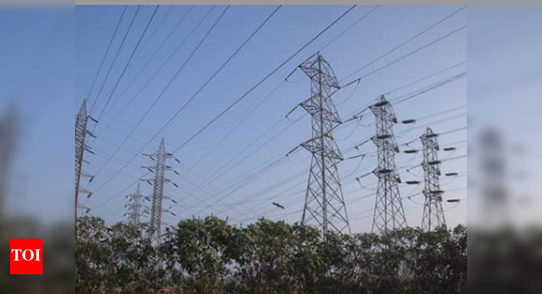 No need to switch off appliances at home: Govt