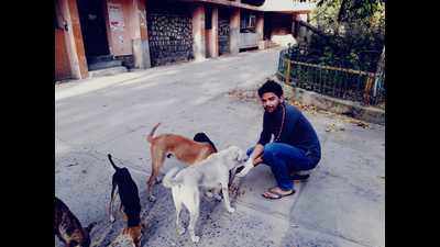 Good Samaritans help starving stray animals during lockdown in UP's Prayagraj