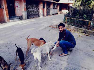 Good Samaritans help starving stray animals during lockdown in UP's Prayagraj | Allahabad News - Times of India Good Samaritans help starving stray animals during lockdown in UP's Prayagraj | Allahabad News - Times of India