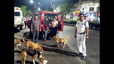 Government forces join hands, make sure every dog (and cat) of Kolkata has its food