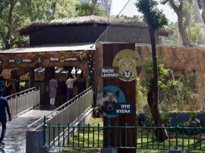 Byculla zoo staff stay on premises | Mumbai News - Times of India Byculla zoo staff stay on premises | Mumbai News - Times of India