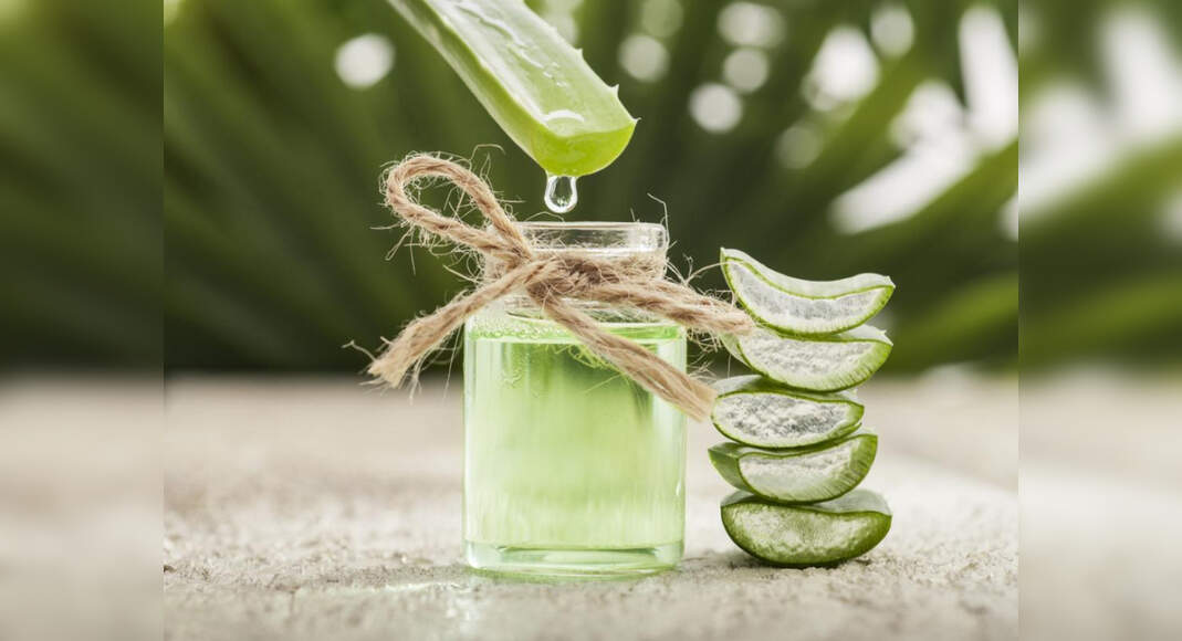 Best way to make aloe vera shampoo at home to achieve luscious locks