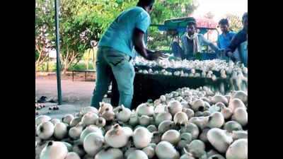 Onion shortage likely as lockdown affects harvesting