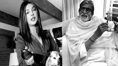 From Amitabh Bachchan to Priyanka Chopra, Bollywood celebs shoot a short film in lockdown