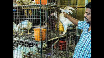 Chicken prices soar across Tamil Nadu as supplies hit
