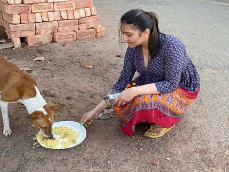 Covid-19 lockdown: 'Nojor' actress Sampurna Lahiri feeds street animals - Times of India Covid-19 lockdown: 'Nojor' actress Sampurna Lahiri feeds street animals - Times of India