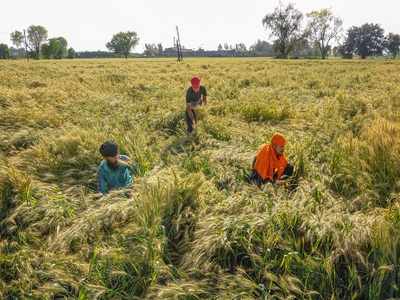 Centre asks states for compliance of exemptions to farmers, lockdown continues to hit agri operations