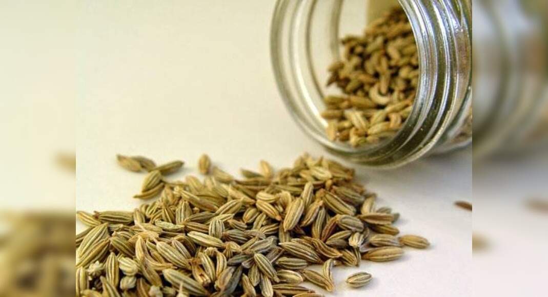 Be aware of these harmful effects of fennel seeds Misskyra