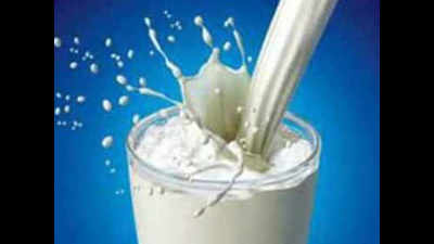 Milk surplus Punjab in a fix over produce