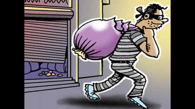 Gujarat: Thieves steal toor dal, rice from Navsari godown