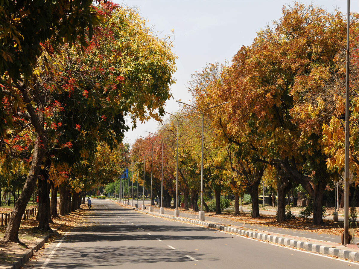 While coronavirus cases have been rising amid second wave, Chandigarh Administration imposed weekend lockdown.