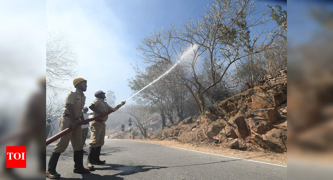 Telangana records over 6,000 forest fires in 20 days Hyderabad News