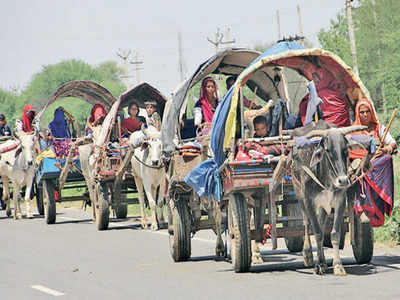 Haryana: Nomad community moves freely, cops unaware | Gurgaon News ...