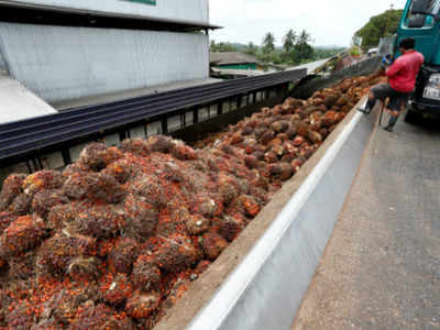 India tightens curb on import of refined palm oil
