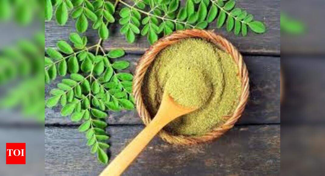 edibles you'll probably find growing in your neighbourhood