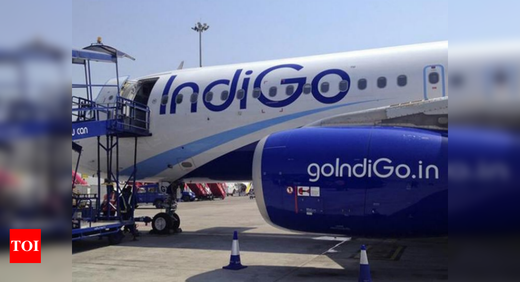 latest news about indigo airlines in times of india